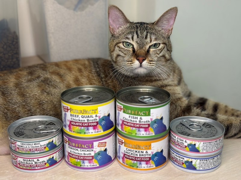 女人知己試用大隊,口碑行銷,部落客行銷,PURRFACT 波菲特貓用主食罐,主食罐,PURRFACT波菲特,貓主食罐,貓罐,PURRFACT波菲特貓用主食罐,魚肉蔓越莓主食罐,鮮嫩雞主食罐,鹿肉雞肉主食罐,牛肉鵪鶉貓主食罐,干貝蠶蛹配方,鱷魚肉白木耳配方,雞肉魚肉配方,安心鶉配方,評價,體驗,適口性佳,心得,成貓適用,高齡貓適用,質地是慕絲狀